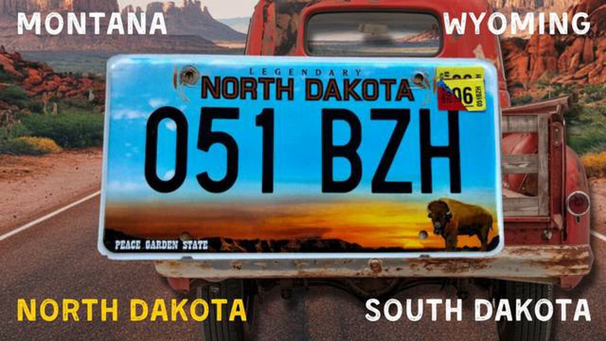 The State of the Plate image number null